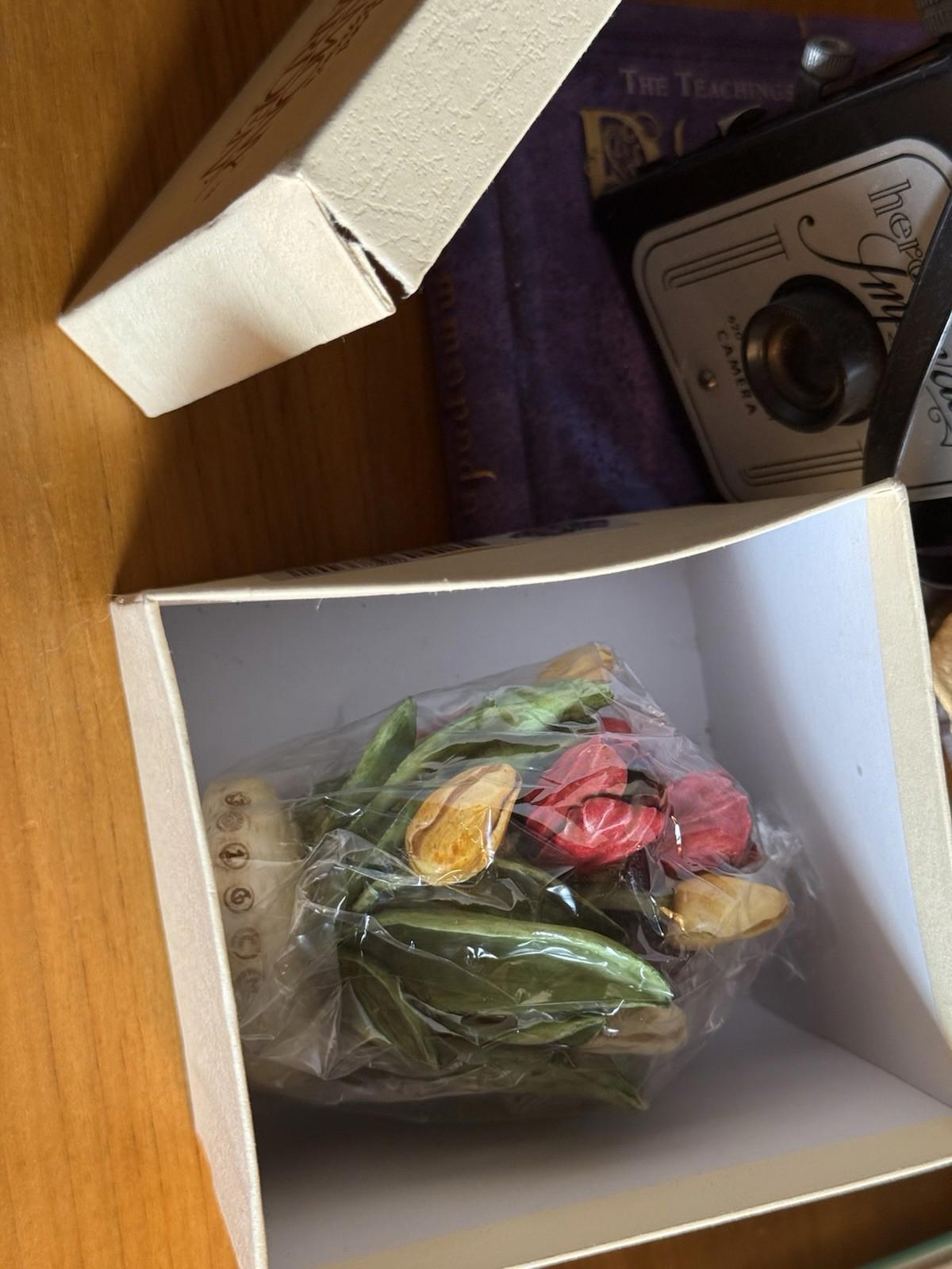 Harmony Kingdom Garden Lord Byron's ~ TULIP box figurine ~ w/Box ~ Edition: 1